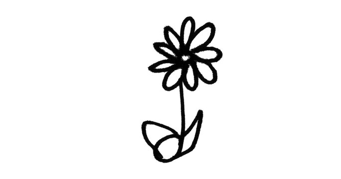 Hand Drawn Daisy Flower Doodle Brush Stroke Vector