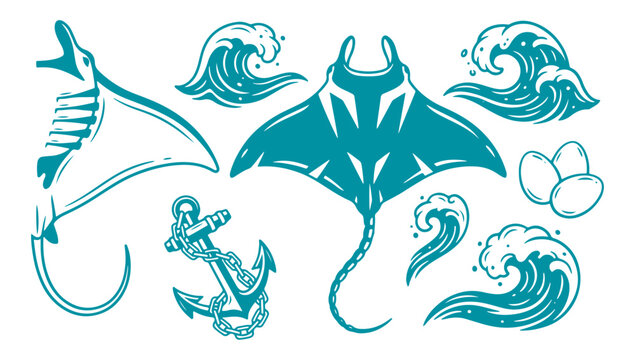 Manta Ray and Ocean Elements Vector Illustration - Marine Life Graphic Design