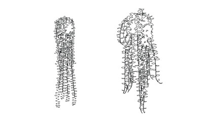 Hanging plant vine top view sketch icons for architectural landscape project set bundle. © Sara Studio