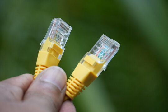A hand holds two yellow Ethernet cable connectors against a blurred green background.