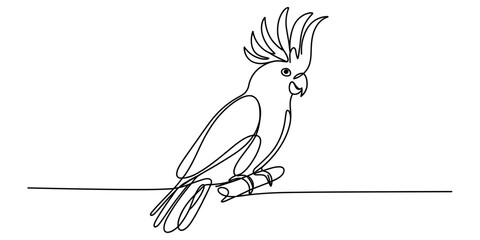 Single line drawing of a cockatoo bird perched on a branch © DCB Line Stocker