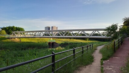 Fototapeta premium pedestrian truss bridge over a riverside trail in an urban green space