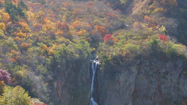 みやぎ蔵王三十六景 駒草平 Miyagi Zao Thirty-Six Views: Komakusa-daira