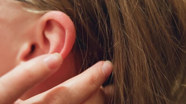 Thorough examination of hair and ear health. Close inspection focusing on hair grooming and ear wellness. Comprehensive evaluation of hair grooming details alongside ear health inspection