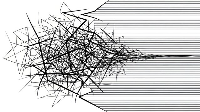 Abstract network of black and white lines forming dynamic geometric shapes and textures.