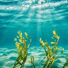 Naklejka premium Underwater kelp forest with sun rays shining through the clear blue water onto the sandy seabed