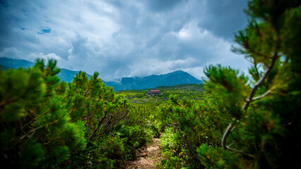 Obraz premium Mountain hut framed through pine branches under stormy clouds Japan.