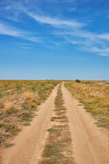 Naklejka premium Dirt Road to the Lake