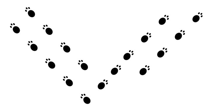 Bunny wet or mud pawprints. Rabbit paw silhouettes stamps. Trace of steps of running or walking hare isolated on white background. Vector