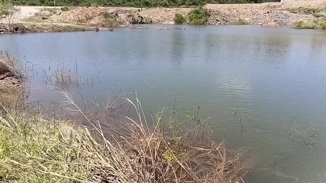 An alternative view of an off-grid solar panel system mounted near a lake, used for pumping agricultural irrigation water.