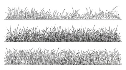 three grass illustrations line style illustration art botanical nature vegetation landscape sketch drawn black white simple design pattern background ornament decorative © Ultimate