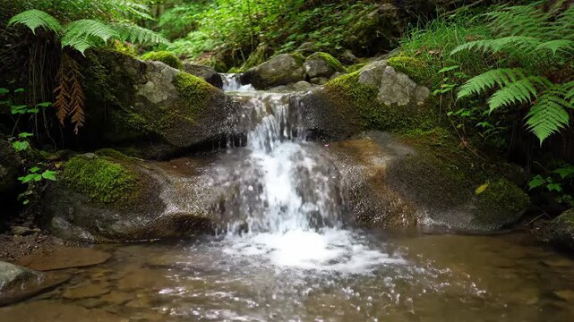 Mountain stream water green landscape, mountain stream water landscape