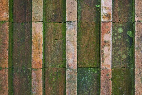 Mossy weathered brick paving blocks texture background