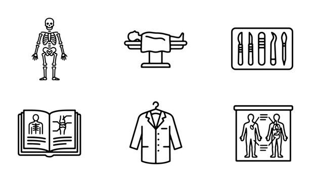 Medical Icons Set: Anatomy, Surgery Tools, Lab Coat, Patient, Book, Human Body Diagram