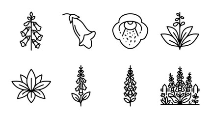 Digitalis Flower Icons, Foxglove Botanical Line Art Vector Set, Delicate Floral Illustrations © Al