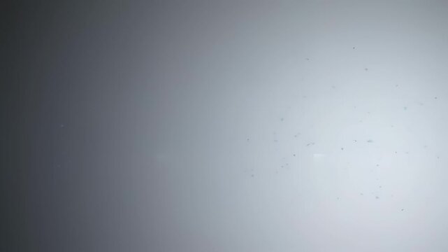 Small blue glowing particles floating in a serene motion animation sequence against a soft white and gray gradient backdrop representing digital data transfer or cosmic energy in this modern video
