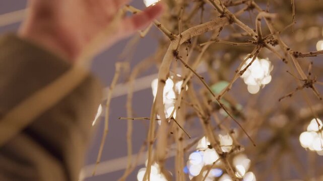 White hand reaching warm holiday lights curious shopper pauses at illuminated market stall, fingers graze twinkling bulbs among hanging branches, soft bokeh and golden glow create intimate nostalgic