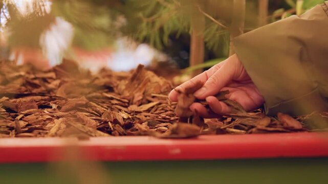 Small hand exploring garden mulch closeup, child in coat gently sifts bark and pine needles in potted planter, warm bokeh lights and autumn tones, tactile sensory moment conveying curiosity, calm