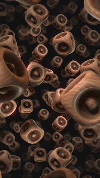 A background of spinning 3D carved wooden style shapes on an endless loop.
