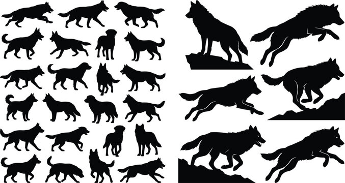 Large collection of black wolf and dog silhouettes featuring wild predators running jumping and standing isolated on white background