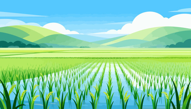 Lush rice paddies stretch beneath clear blue skies. Rows of green shoots ripple gently in the water. Soft hills roll into distance under floating clouds. Sunlight glows warm over tranquil farmland
