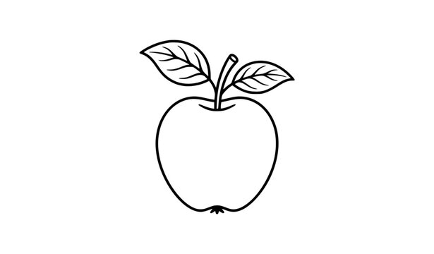 Elegant apple line drawing vector illustration with leaves