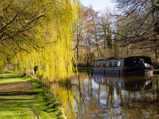 Landscape in Spring in Berkhamsted © SRSImages