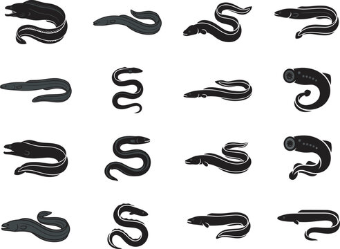 Set of eel and lamprey vector illustrations showing diverse aquatic species in monochrome silhouette style for marine life design