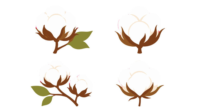 Set of cotton flower bolls and branches in simple vector style