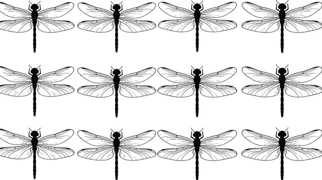 Detailed Black and White Line Art Drawing of Twelve Identical Dragonflies in Three Rows, Insect Vector Flat Illustration for Nature, Entomology, Design, and Pattern Backgrounds.