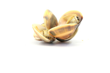 Closed up fresh baby clams. venus shell. shellfish. carpet clams. Food from nature. as raw food from the sea are the seafood ingredients. fresh clams isolated on white background © Pisan