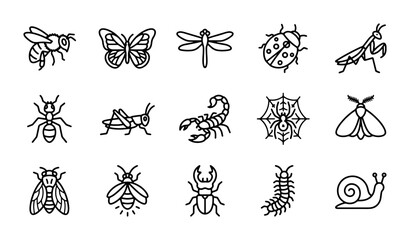 Insect Icons Set: Vector Graphics of Bugs, Butterflies, Bees, and Spiders for Nature and Science © Afsana