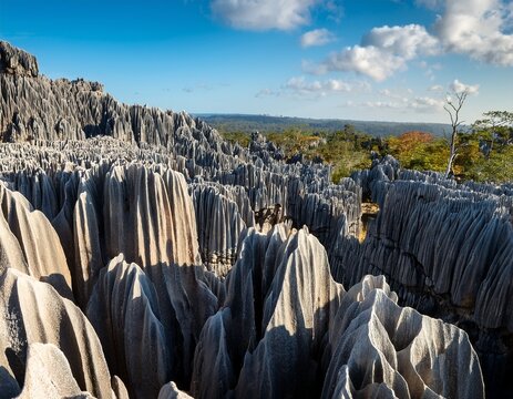 macro landscape shot of madagascarrs limestone tsingy formations jagged textures