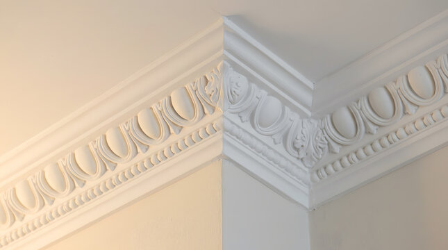 Elegant White Crown Molding Detail | Ornate Decorative Ceiling Cornice in Interior Design | Classic Egg and Dart Pattern Architectural Stucco | Luxury Home Renovation Plaster Finish Corner