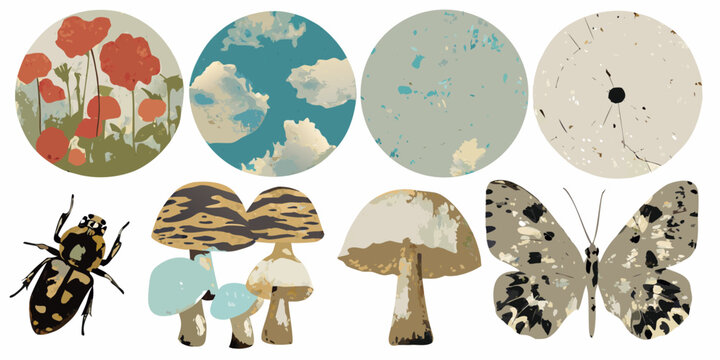 vintage nature collage with mushrooms insects flowers