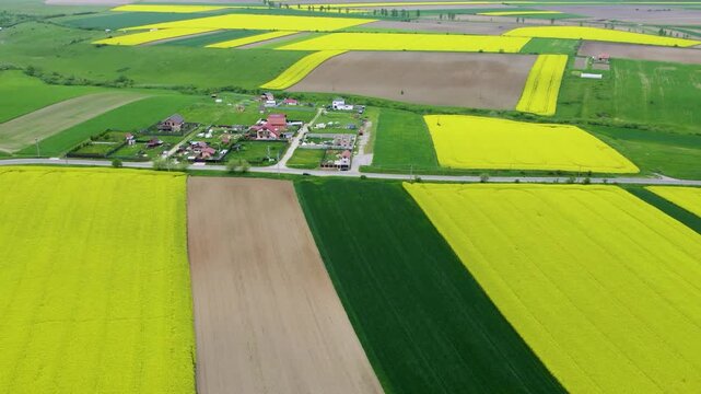 Cinematic Aerial View of Yellow and Green Farmland Patterns in Transylvania Romania