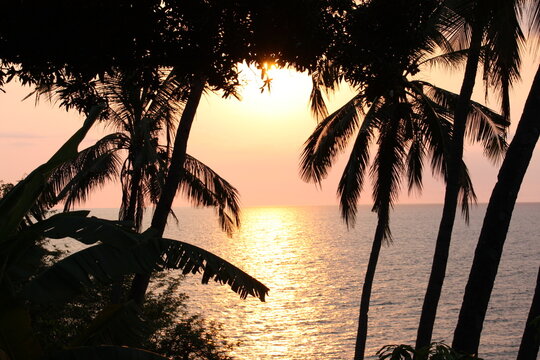 couch&eacute; de soleil