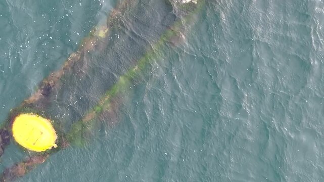 Aerial View of Underwater Rocks and Seaweed Through Clear Sea at Oshika Peninsula, Japan