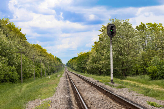 Two train tracks extend into the distance along a straight path surrounded by green trees and grass. A signal light stands beside the tracks, indicating a go signal under a blue sky.
