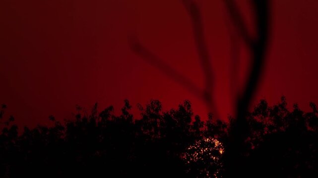 A sunset time-lapse captures the sky's dynamic transition from day to night. To shoot one, secure your camera on a tripod, lock the exposure and record for 30&ndash;60 minutes prior to sunset until the sky.