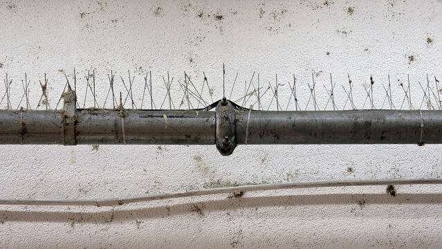 Metal bird deterrence spikes installed on a dirty outdoor utility pipe against a weathered white stucco wall