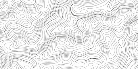 Fototapeta premium topographic wave pattern on white background contour