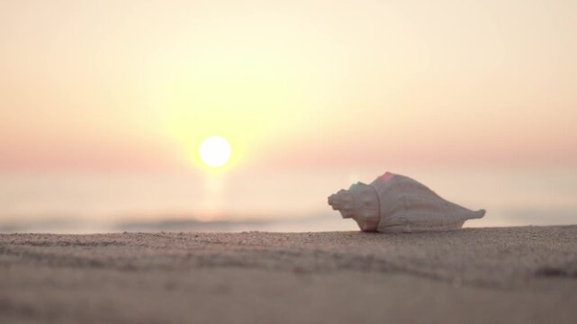 夕日の砂浜と貝殻