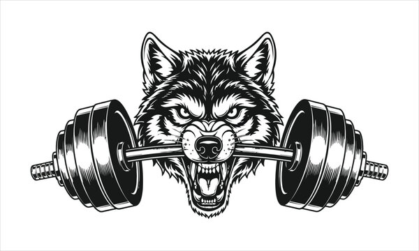 Angry wolf head biting barbell with weight plates in black and white illustration, strength
