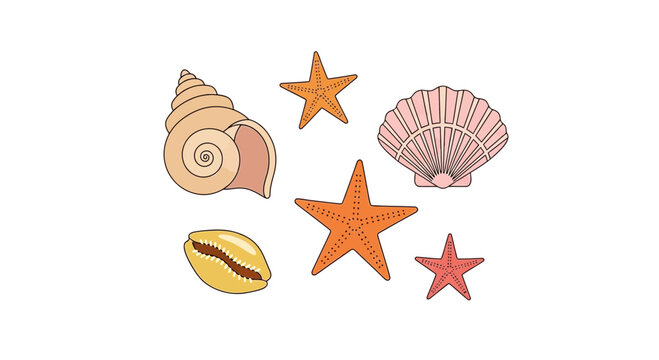 Collection of Seashells and Starfish Illustrations