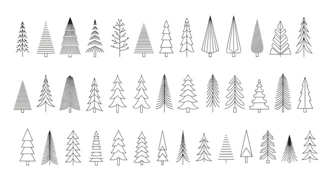 Extensive collection of pine and fir tree icons in various linear and geometric graphic styles for forest design.