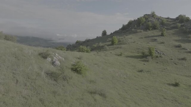 Beautiful aerial drone view of green mountain ranges and hills with flat log profile, Azerbaijan