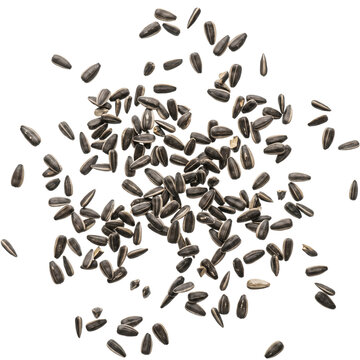 Close up of niger seeds scattered on a transparent background