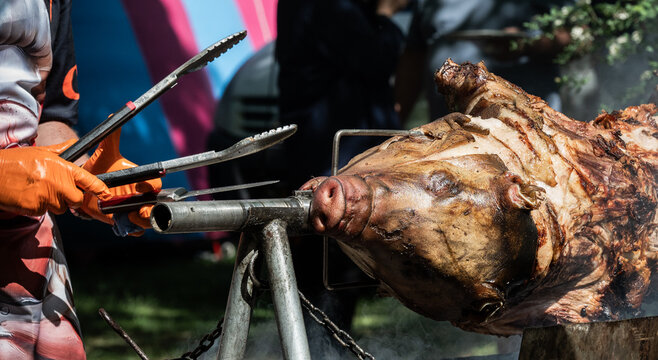 pig on the grill