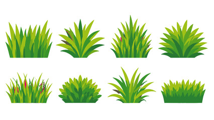 Set of green grass and leafy bush elements in flat vector style © Alan